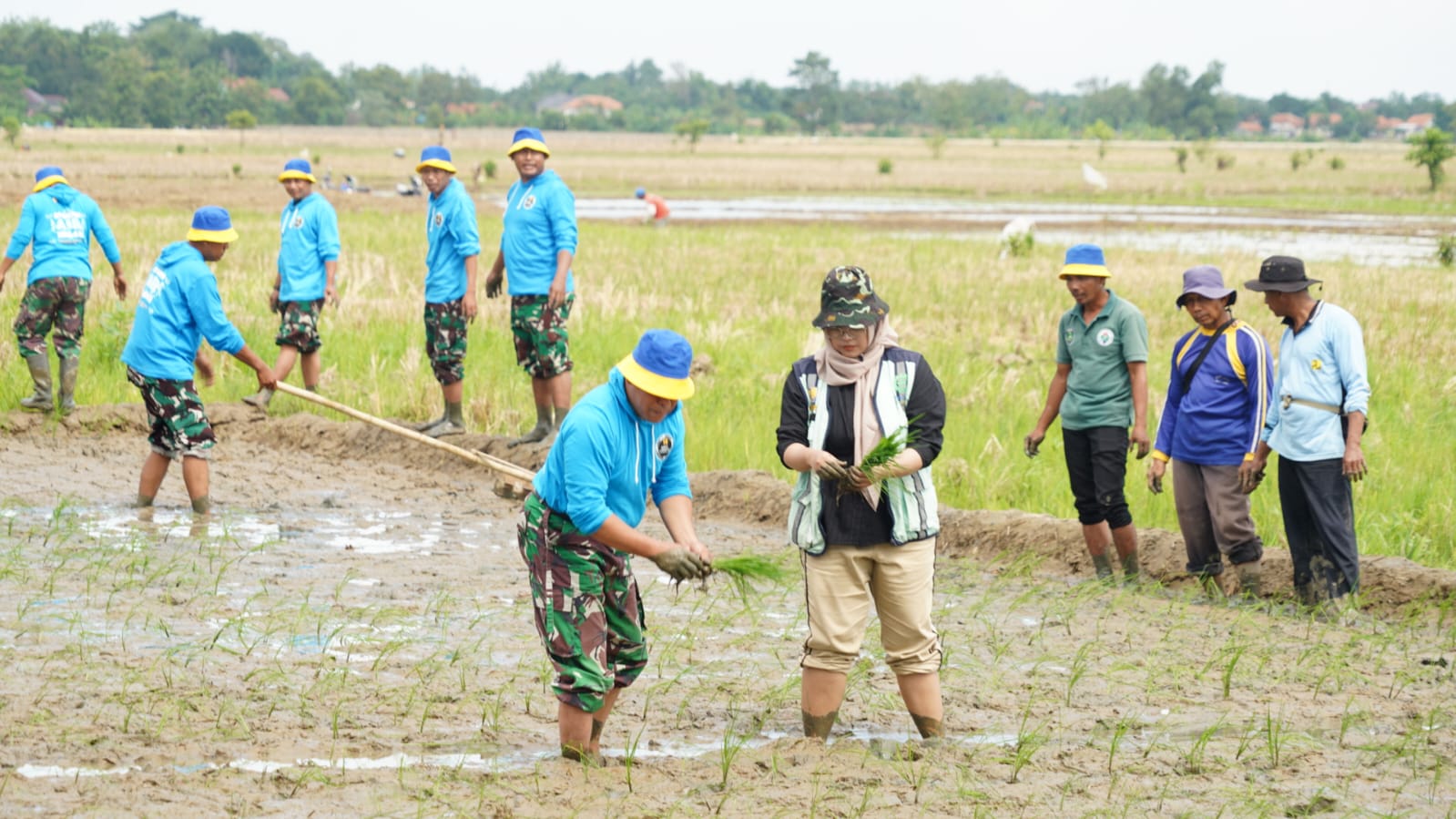 Danrem 063/SGJ, Peningkatan Kapasitas Babinsa Untuk Irigasi Padi Hemat Air (IPHA)