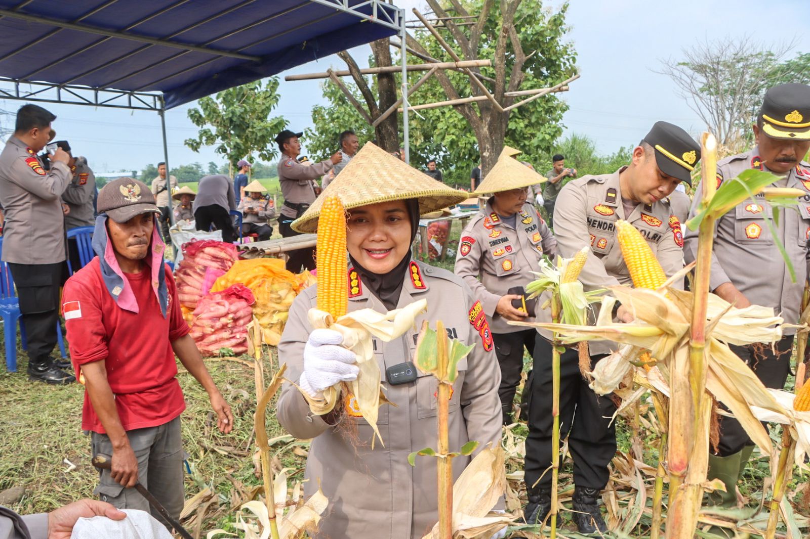 Polresta Cirebon Gelar Panen Raya Jagung Ketahanan Pangan Dalam Rangka Mendukung Program Asta Cita