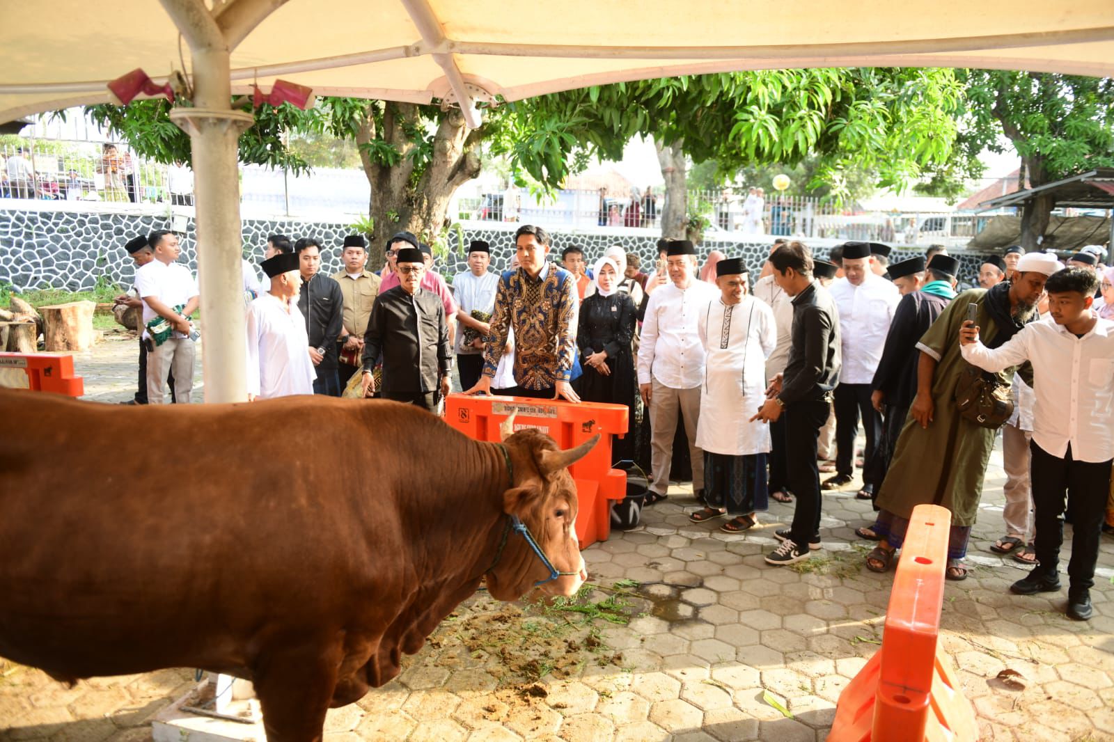 Sholat Idul Adha 1446 H di Alun-Alun Indramayu, Lucky Hakim dan Syaefudin Pastikan Daging Qurban Terdistribusi dengan Baik