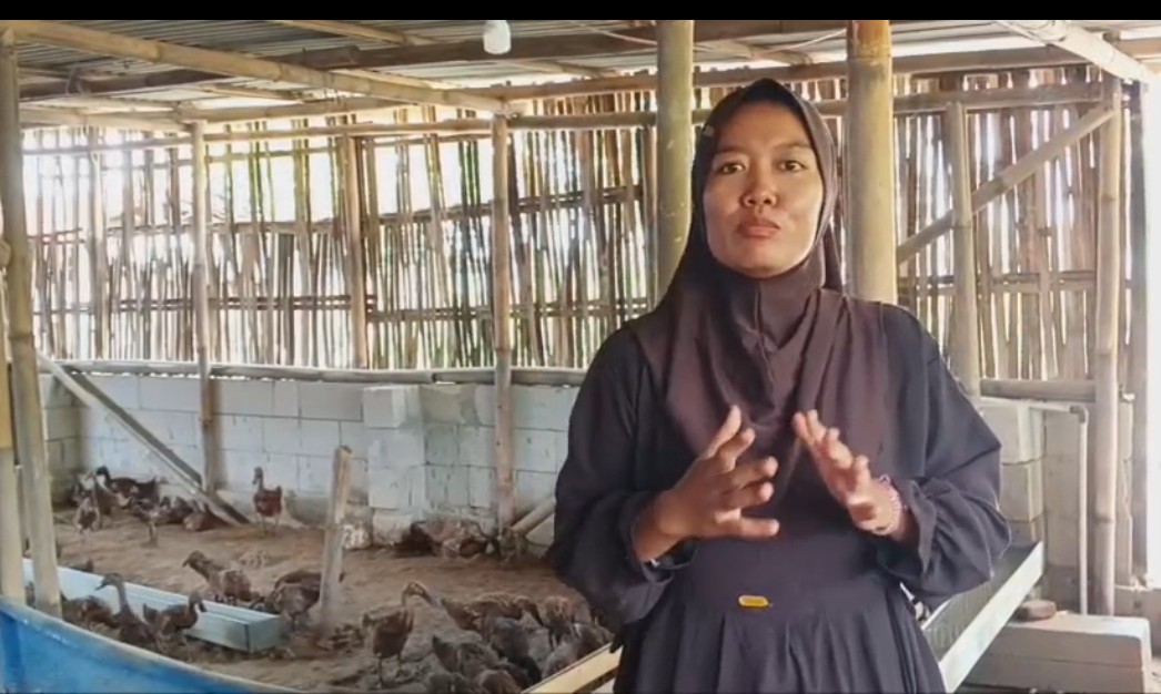 Jurnalis Bertalenta,Ciptakan Lapangan Pekerjaan Di Bidang Peternakan